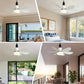 🔥Letzter Tag: 48% Rabatt!⏰🍃 Intelligenter Deckenventilator mit Licht, RGB-Beleuchtung und Bluetooth-Lautsprecher♨️❄️
