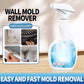 ⏳Time-Limited Special⏰Highly Effective Mould Removal Spray - Prevents Mould Regrowth