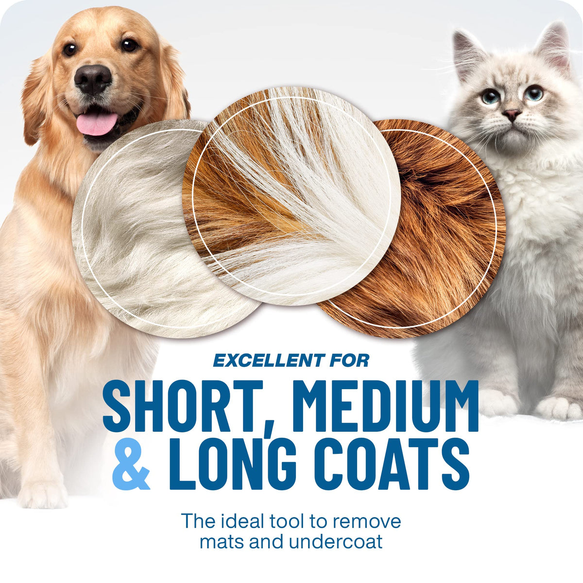 🐶 KAUFE 2, ERHALTE 1 GRATIS! 🐱 Professionelles Enthaarungs-Tool für Hunde & Katzen – Entfernt Lose Haare Effektiv, Sanft zur Haut & Einfache Reinigung 🧼