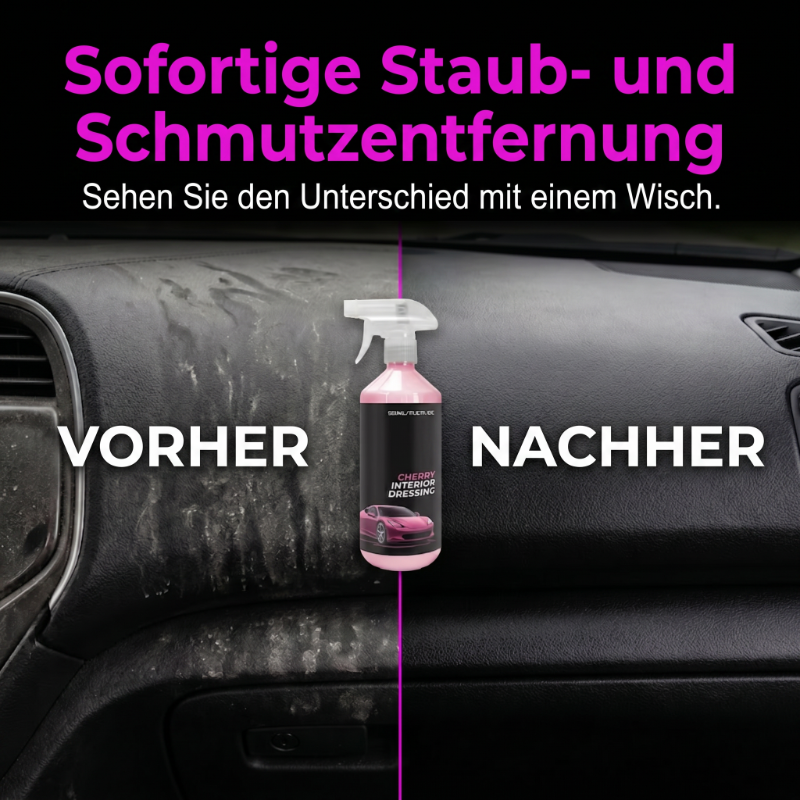 Mehrflächen-Reinigungsspray für den Autoinnenraum