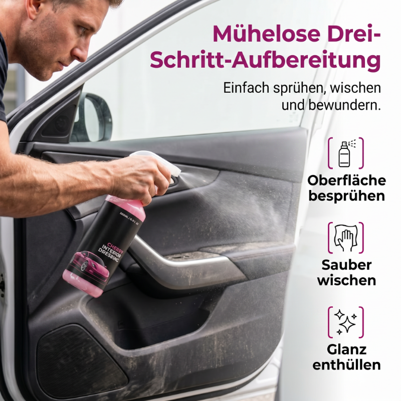 Mehrflächen-Reinigungsspray für den Autoinnenraum