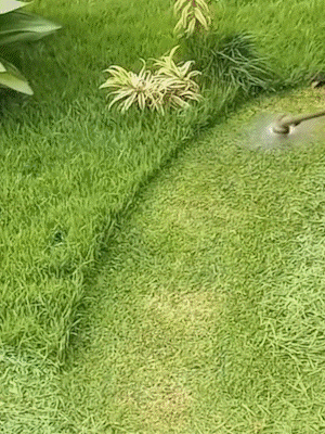 👨‍🌾Ersatzkopf für Fadentrimmer