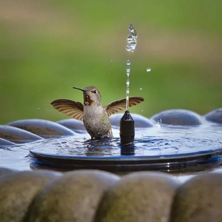 ✨Solarbetriebene schwimmende Fontäne, geeignet für Miniatur-Gartensprinkler, Steingärten und Teiche im Freien✨