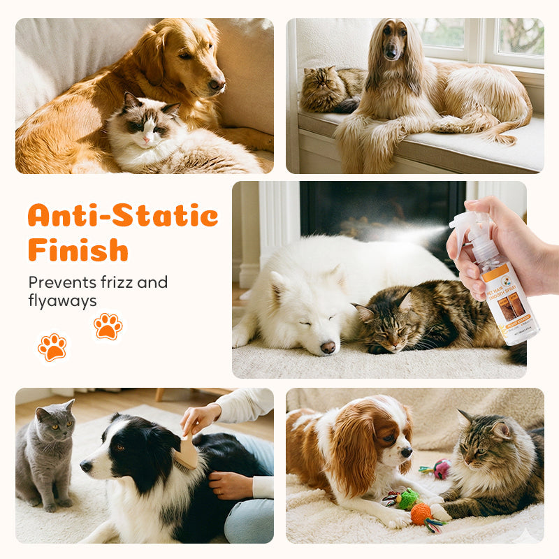 💥 MEGA DEAL:  2+1 GRATIS 🐾 Fellpflege Spray für Hunde & Katzen 🐶 sanft entwirrend, deodorierend & pflegend 🌿