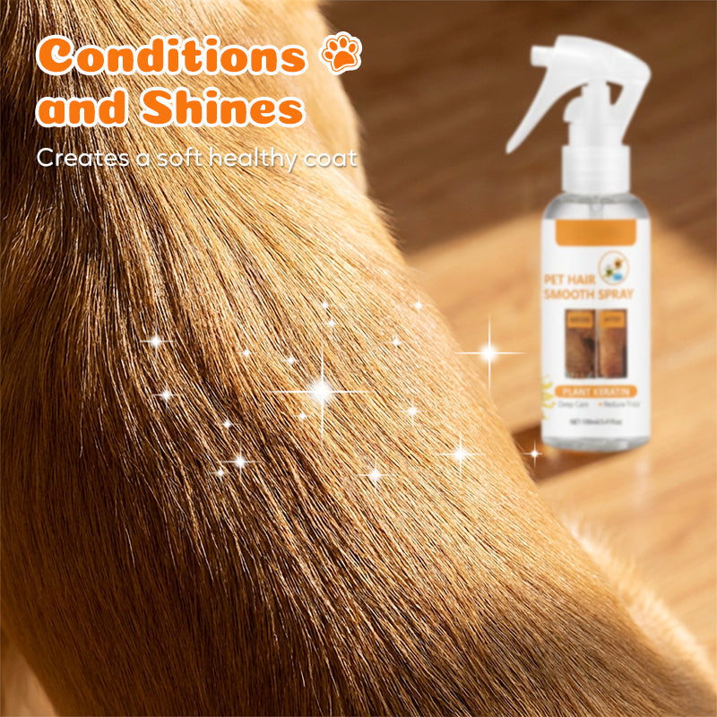 💥 MEGA DEAL:  2+1 GRATIS 🐾 Fellpflege Spray für Hunde & Katzen 🐶 sanft entwirrend, deodorierend & pflegend 🌿