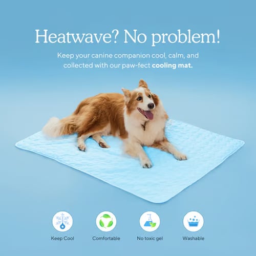 ⏳🔥NUR FÜR BEGRENZTE ZEIT: 50 % RABATT! 🐶 Kühlmatte für Hunde – 4-mal effektivere Kühlung für heiße Sommertage ❄️✨