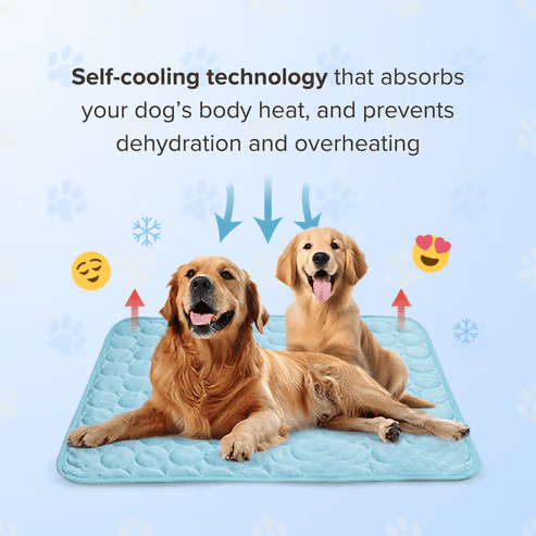 ⏳🔥NUR FÜR BEGRENZTE ZEIT: 50 % RABATT! 🐶 Kühlmatte für Hunde – 4-mal effektivere Kühlung für heiße Sommertage ❄️✨
