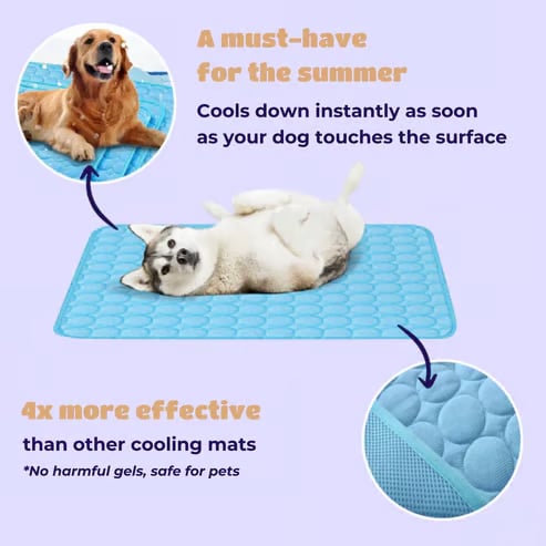 ⏳🔥NUR FÜR BEGRENZTE ZEIT: 50 % RABATT! 🐶 Kühlmatte für Hunde – 4-mal effektivere Kühlung für heiße Sommertage ❄️✨